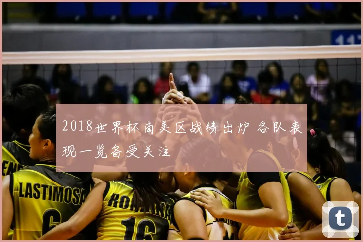 2018世界杯南美区战绩出炉 各队表现一览备受关注