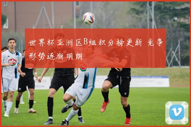 世界杯亚洲区B组积分榜更新 竞争形势逐渐明朗