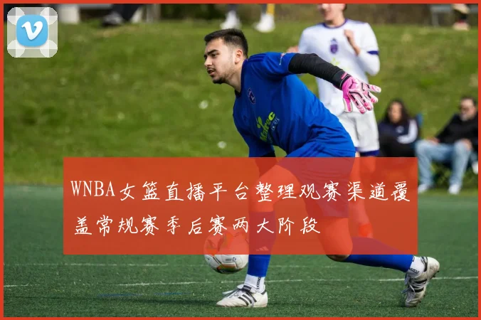 WNBA女篮直播平台整理观赛渠道覆盖常规赛季后赛两大阶段