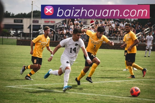 投注app官网服务体系